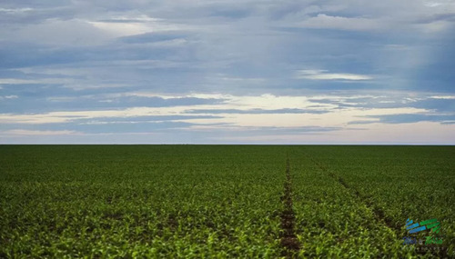 320 Has Agrícola-ganaderas Mas Del 50% Agricola