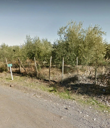 Venta Parcela 5000 Mt2 Rinconada De Los Andes