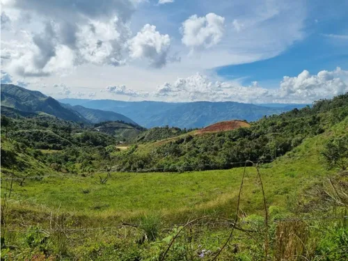 Lote En Vender En Barbosa