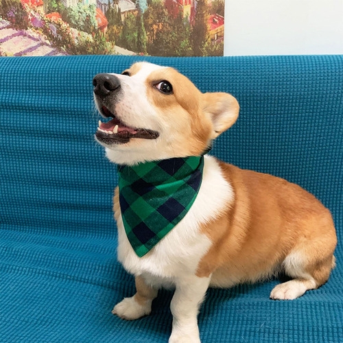 Z Collar De Bandana For Perro, Pañuelo Doble Reversible,