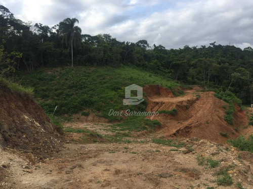 Imagem 18 de 22 de Terreno Amplo Para Desenvolvimento Imobiliário. - Te0019