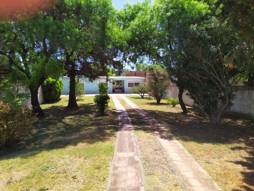 Imagen 3 de 18 de Casa 3 Dormitorios Con 1230 Mts De Terreno Barrio Ideal