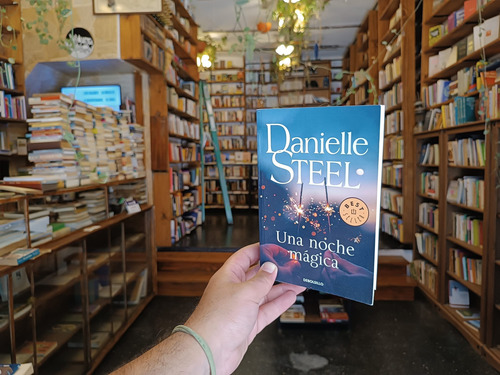 Una Noche Mágica. Danielle Steel. (Usado)