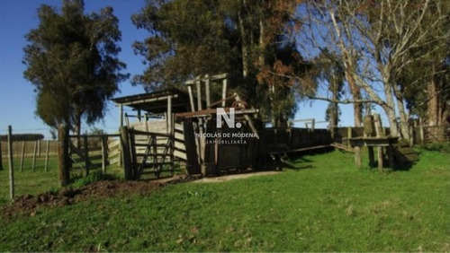 Buena Estancia Ganadera Y Forestal.- Ref: 3971