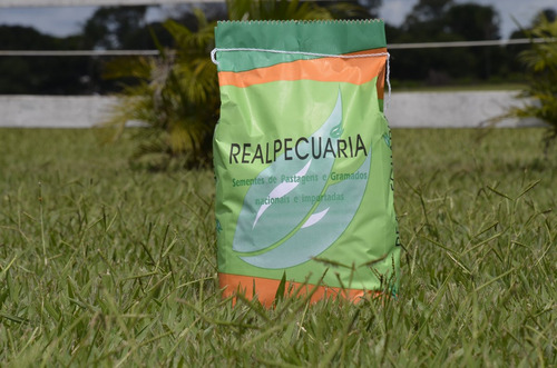 Sementes De Grama Batatais Incrustada (1 Kg) +2,5kg De Adubo