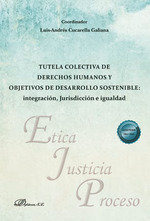Libro Tutela Colectiva De Derechos Humanos Y Objetivos De...