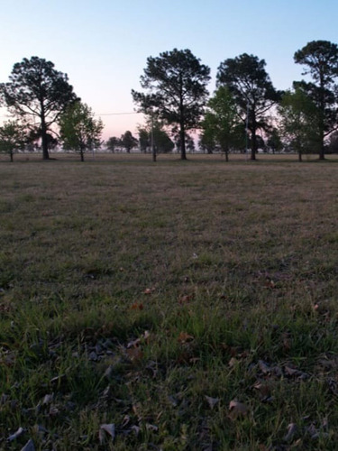 Venta De Terreno En Country Los Molinos