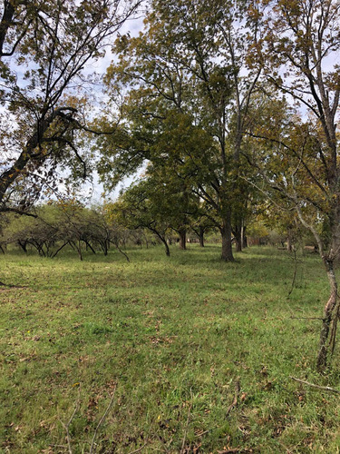 Campo En Villa Paranacito