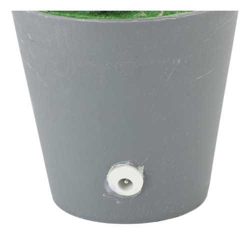 Árvore De Eucalipto De Mesa Vermelha: Led Verde Encantador É