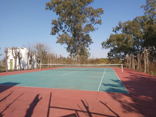 Imagen 22 de 30 de Venta Hermosa Chacra Haras Con Casco Y Mejoras En San Miguel Del Monte