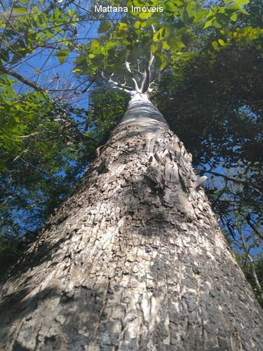 Imagem 22 de 22 de Chácara Em Santa Branca-sp - Ch39 - 34846175