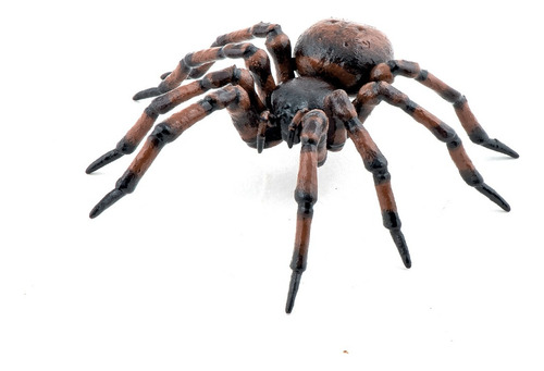 Papo Vida Salvaje: Araña Comun 50292
