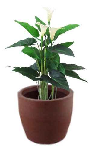Vaso Decorativo De Planta Flor Redondo Cone 34x27x30 Cor Argila