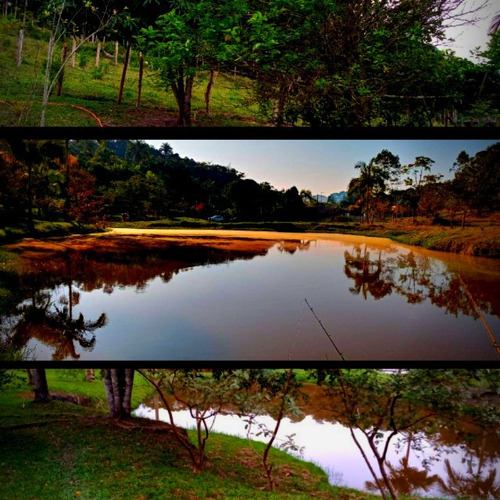 Imagem 5 de 10 de Sitio 133.000 M² Com 7 Lagos Boa Topografia Em Jacupiranga