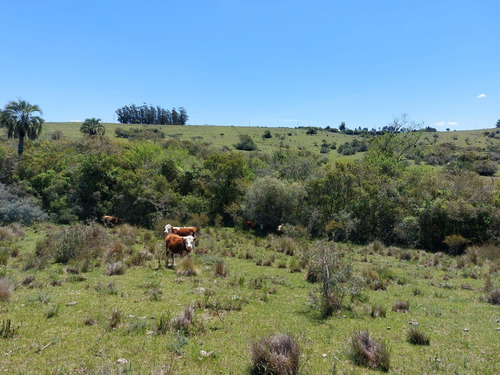 88hás De Campo Serrano Sierras Del Carapé