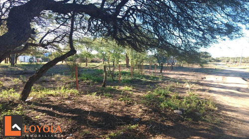 Imagen 4 de 8 de Gran Lote De 1500 Mts Con Forestacion Autoctona!!