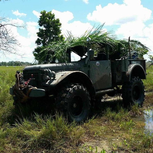 Dodge M 37 1955