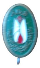 Pin De Metal Dorado, Fondo Verde. Desconozco Su Origen
