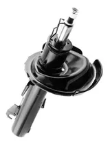 Comprar Amortiguador Delantero Derecho Ford Focus Europa 2007 A 2011