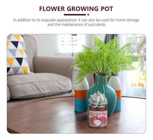 Lata De Café Con Forma De Cubo De Flores De Hierro Suculento