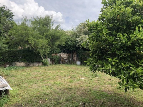 Local Comercial + Casa Sobre Ruta 205 En Spegazzini