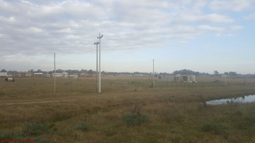 Imagen 5 de 11 de Lote