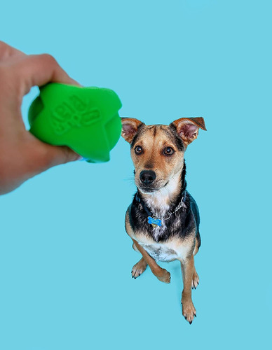 Set 3 Pelotas De Latex Juguete Para Perro Hartz Durapplay