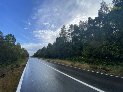 Terreno De 3 Hás A Orilla De Carretera - Polincay