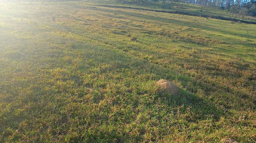 Imagem 11 de 14 de 16- Adquira Seu Lote 100% Documentado,sem Burocrácia