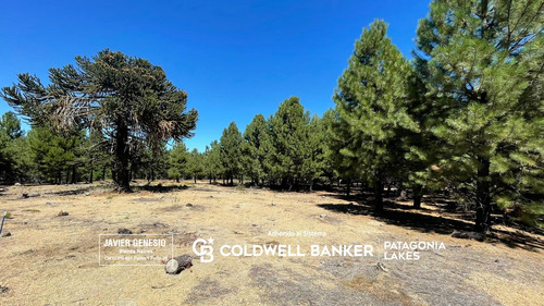 Venta Lote 1300m2, Altos De Pehuenia Villa Pehuenia