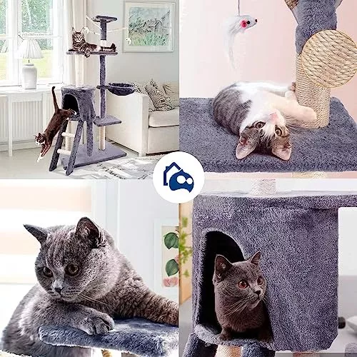 Tercera imagen para búsqueda de casa para gatos