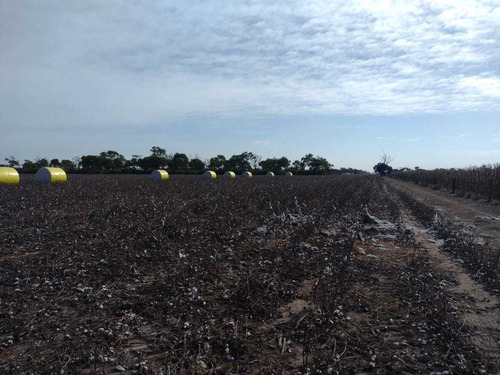 Imagen 4 de 14 de Sachayoj Campo Agrícola 1450 Hectáreas - Tope Gama