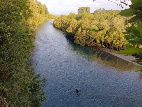 Parcelas A 2 Minutos Del Lago Rupanco, Acceso A Rio