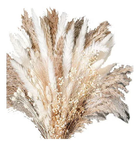 Decoración Seca Natural Capim Dos Pampas Plumas Con