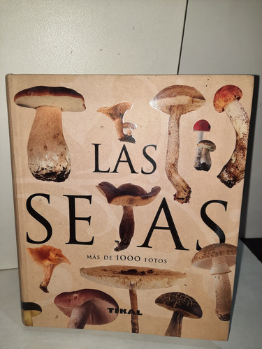 Las Cetas Mas De 1000 Fotos