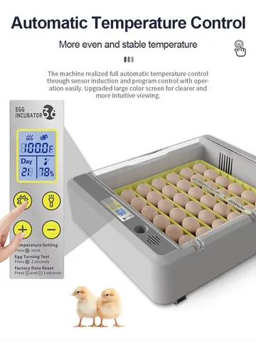 Incubadora Huevos 36 Hhd Cont Automatico Temperatura Volteo