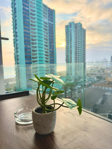 Edificio Paradise, Iquique