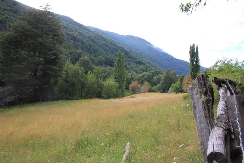 Campo De 326 Hectáreas En Llanada Grande, Cochamó.