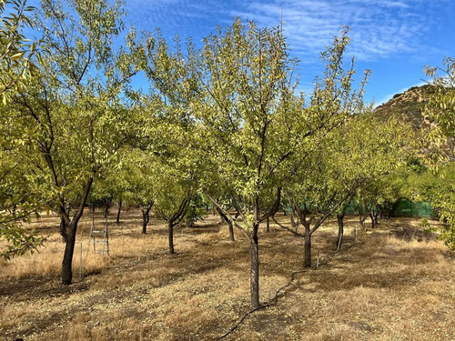 Parcela Con Casa Y Arboles Frutales Aculeo