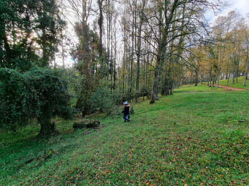 Parcela En Venta Sin Comisión En Lago Ranco