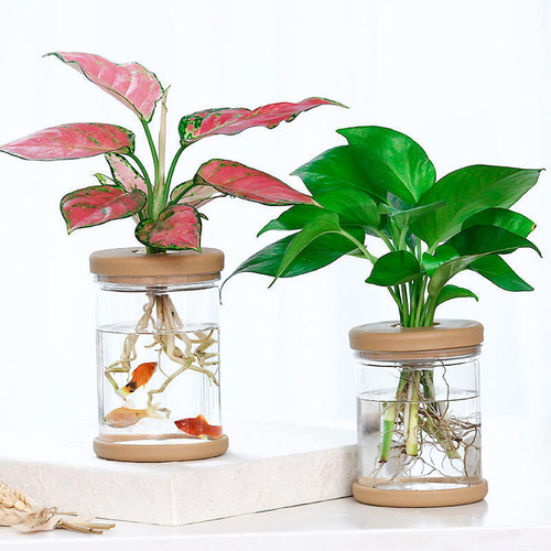 3 Jarrones Florales Hidropónicos Decorativos, Macetas
