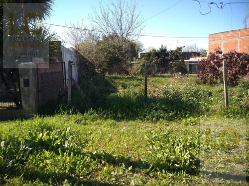 Imagen 6 de 21 de Lote En Venta En Juan Maria Gutierrez