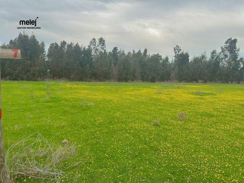 Venta Terrenos En Los Laureles, Limache
