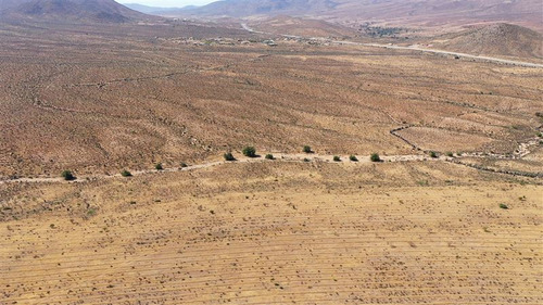 Venta Terreno De 11 Ha En Higueritas Unidas, Ovalle