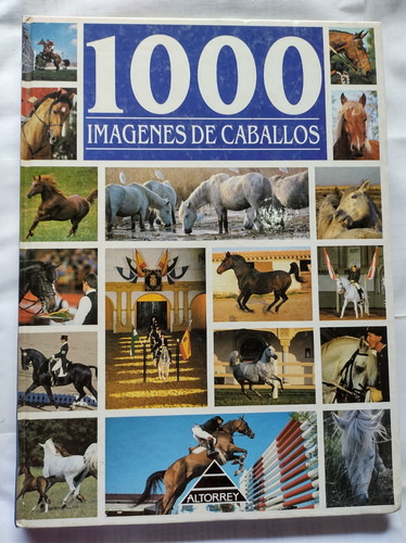 1000 Imagenes De Caballos - Bertrand Leclair