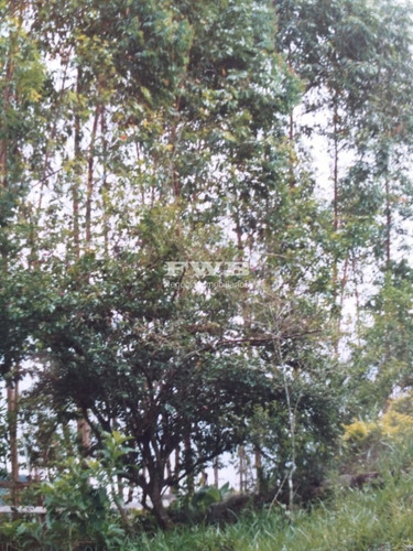 Imagem 8 de 28 de Fazenda Em Rio Preto Minas Gerais - 2044007423 - 67629041