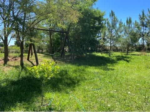 Imagen 14 de 30 de Chacra En Venta - Pileta - El Caño - Colonia Del Sacramento