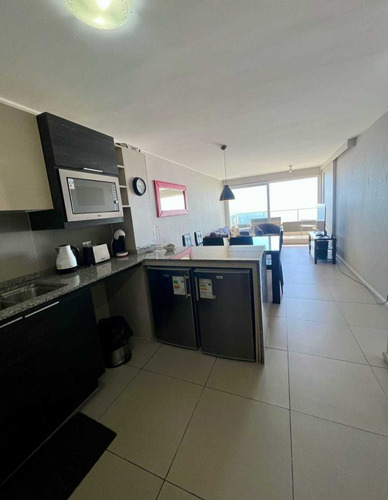 Arriendo Amoblado Añor Corrido 2 D 2 B (87737)