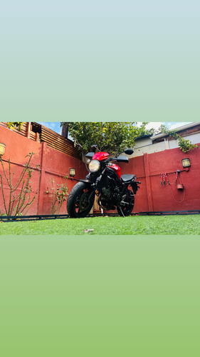 Motor V-twin De 645 Cc, Inyección, Abs,