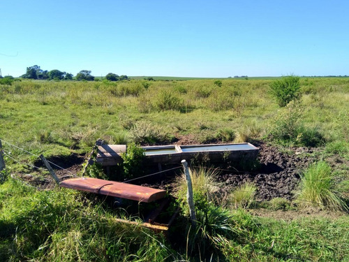 Imagen 6 de 20 de Campo Mixto 21 Has. En Victoria Actualmente Con Explotacion Ganadera